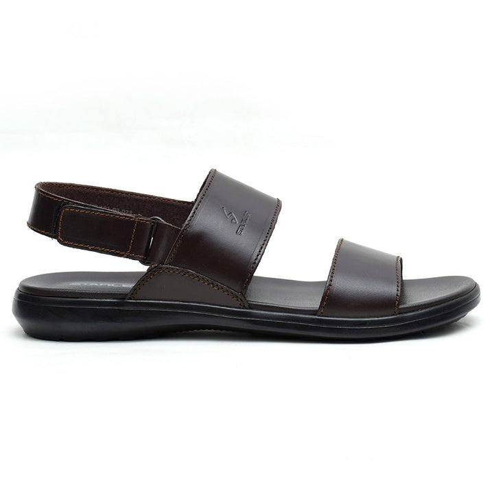 8654301 brown